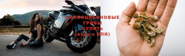 амф Ростов