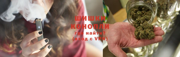 МДПВ Карпинск