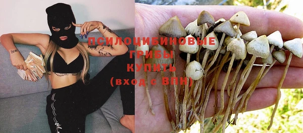 кокс Балабаново